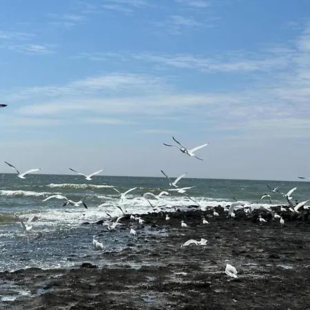 Διαμέρισμα 3-person Near Forest Sint Maartensvlotbrug
