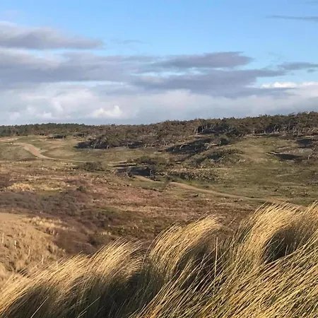 3-person Near Forest Sint Maartensvlotbrug