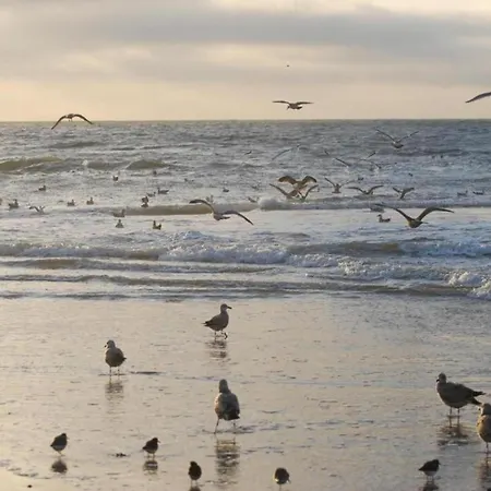 3-person Near Forest Sint Maartensvlotbrug