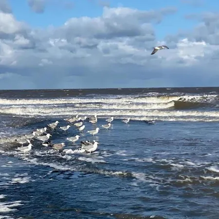 3-person Near Forest