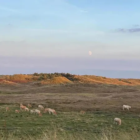 3-person Near Forest *