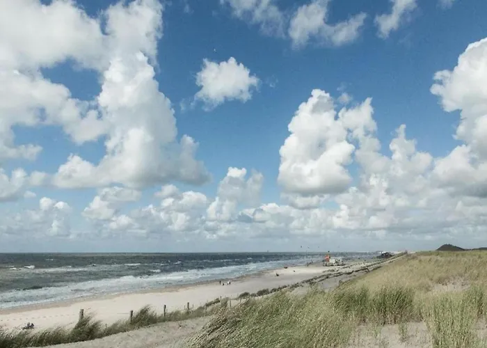 Apartament 3-person Near Forest Sint Maartensvlotbrug