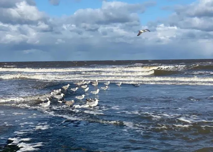 3-person Near Forest