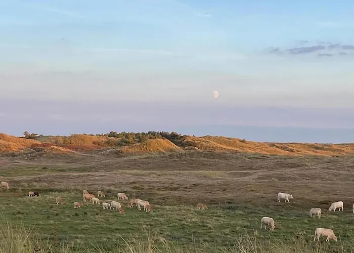 3-person Near Forest *