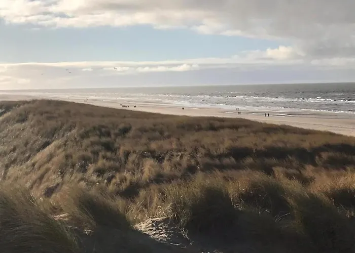 Apartament 3-person Near Forest *