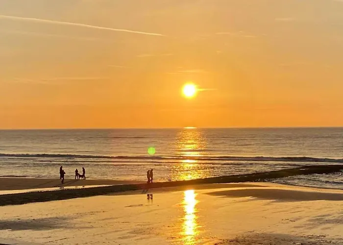 3-person Near Forest *