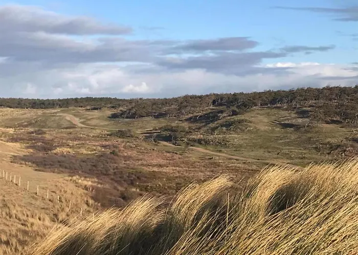 3-person Near Forest Sint Maartensvlotbrug