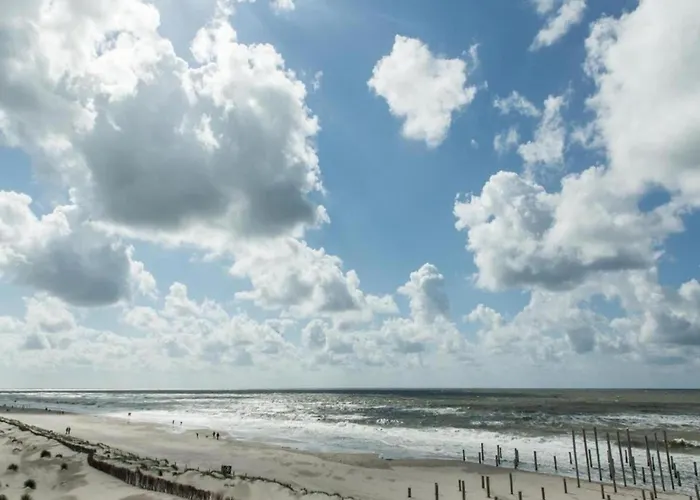 Apartament 3-person Near Forest *