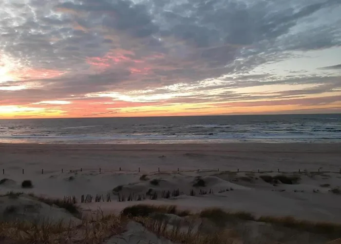 3-person Near Forest Sint Maartensvlotbrug