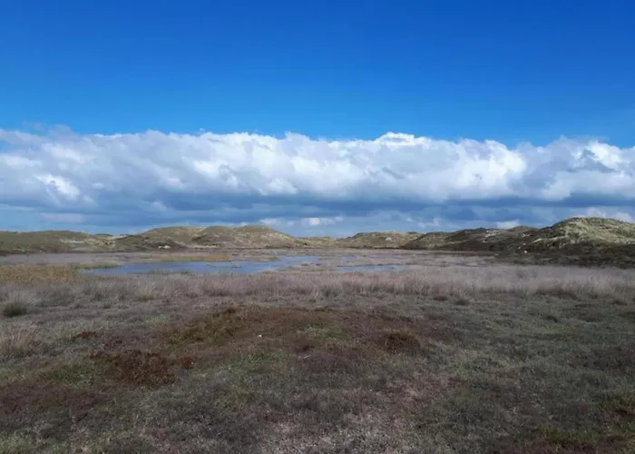 Apartament 3-person Near Forest *