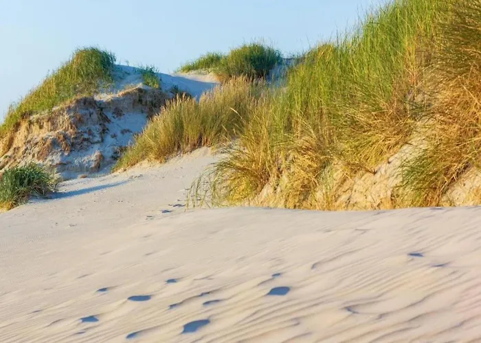 3-person Near Forest Apartament Sint Maartensvlotbrug